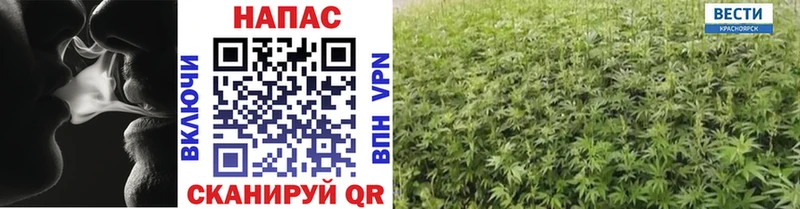 Виды наркотиков купить Нариманов Псилоцибиновые грибы ГАШИШ МАРИХУАНА Cocaine Alpha PVP